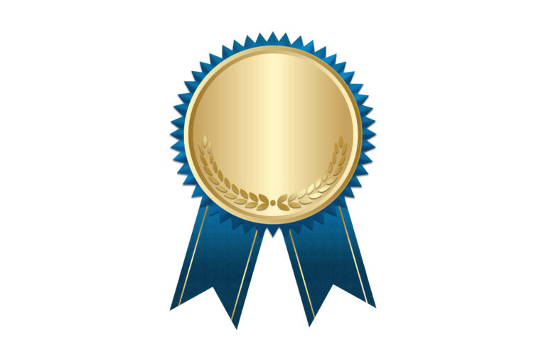 2nd Place in the Young Scientist Award at I4CS